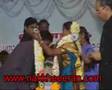 Is this tamil culture?- full report in nakkheeeran.com