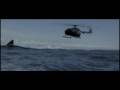 Megaladon Shark Feeding Frenzy