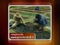 Promuovere la cooperazione internazionale