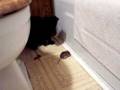 videos de round 1.MOV