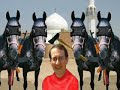 Equine News Update 1/27/07