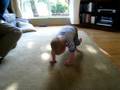 videos de Benji Papa push-ups