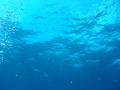 Meters Diving Safety Stop