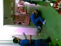 los pitufos y un pajaro 2