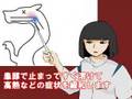 アニメを作ってすぐ公開～狂気のスタジオジブリ