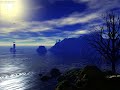 Click here to watch this video William Orbit - Montok Point