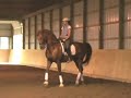 Harry Callahan ASB Dressage Piaffe, Passage & One Tempi\ Harry Callahan ASB Dressage Piaffe, Passage & One Tempi\