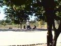henrry pro