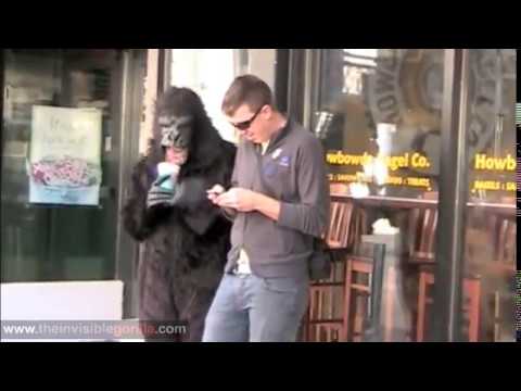 The Invisible gorilla around town