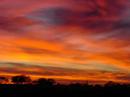 Texas Sunsets