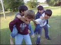 chicken fighting