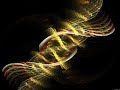 Synsun -  DNA