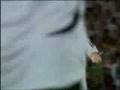 videos de Germany vs spain