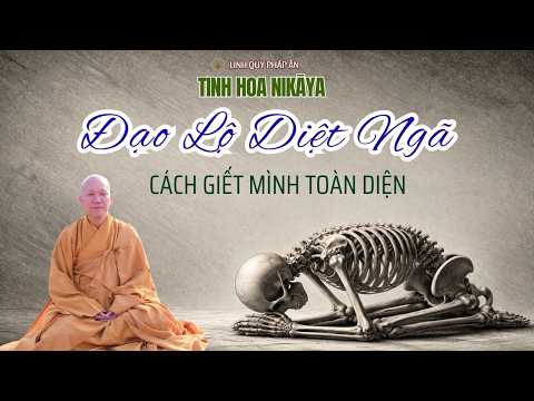 Tinh Hoa NIKAYA - Đạo Lộ Diệt Ngã - Cách Giết Mình Toàn Diện