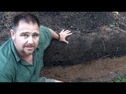 video-linktoworks-How much drainage & fill soil to use when making a...