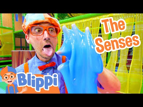 Blippi 15. Blippi Learns the Five Senses Thumbnail