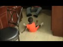 Anthony vs. Elmo