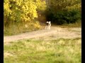 drakar is een mietje deel1 drakar is een mietje deel1