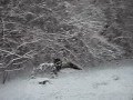 First Snow