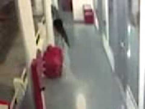hantu video