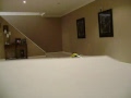 Hanz and Franz.wmv