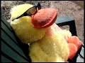 Dixie Chicks - The Long Way Around (parody)