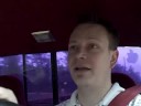 Truck Cam: Red Light Rant? Truck Cam: Red Light Rant?