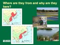 Under Siege: Battling Flying Carp and Giant Pythons and How Science Can Help