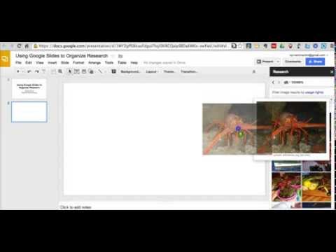 how to organize research