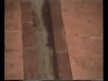 Antiguo Proceso del Aceite