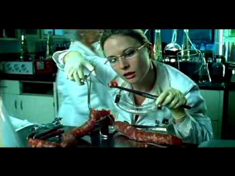 Reklamy wódki “Alchemy” ośmieszają Polaków?