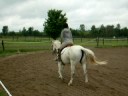 Horseback Riding in Nepean, Ontario, Canada