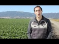 Why Farm Workers Are Important To This Family Farm