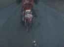 fiddy wheelies