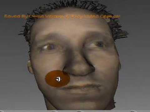 synthetic human