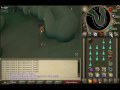 Best rock lobsters barraging guide (9 lobsters)