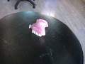 An Interview with a denture
