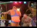 Comandante cebra vs TnT
