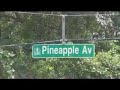 Downtown Sarasota