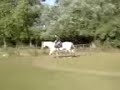 me jumping houlie