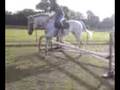 me jumping houlie