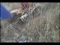 Mazeppa-Harescramble