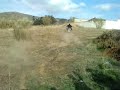 FDA,  Un pequeño caballito