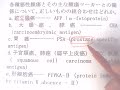薬剤師