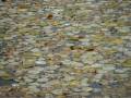 Kuolleet lehdet (Autumn Leaves) - Maggie
