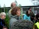 A Circle of Fire  - Grow Sheffield Renga Ramble