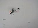 Fairy Micro RC Helicopter (let)