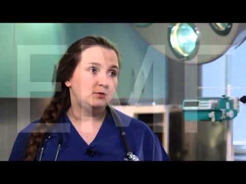 Бешенство. Лептоспироз.