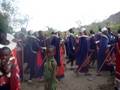 videos de Maasai Parade