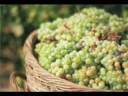 Spot video MZP - Client Bucium